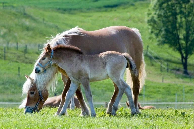 Wertschätzung, die Du auf der Haut spürst