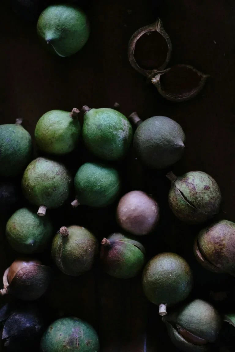 Macadamia. Geheimtipp mit nachhaltiger Wirkung